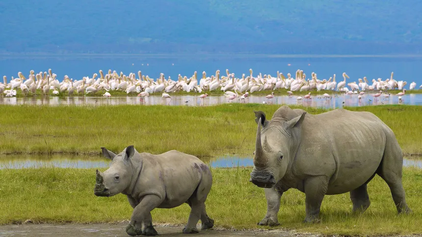 2-Day Lake Nakuru National Park Safari 2