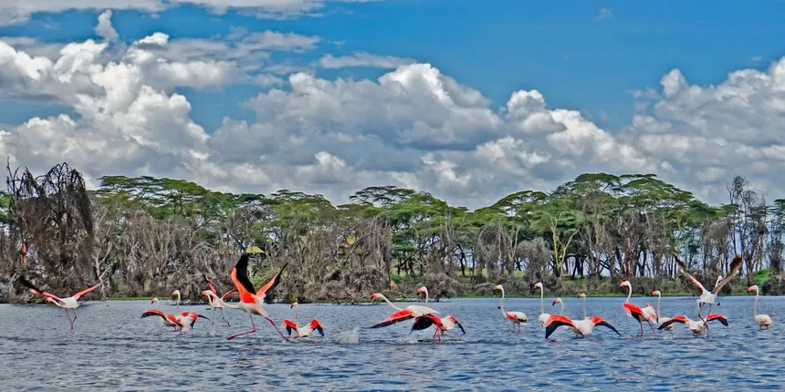 2-Day Lake Nakuru National Park Safari